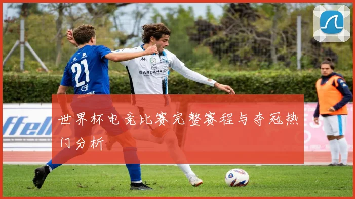 世界杯电竞比赛完整赛程与夺冠热门分析