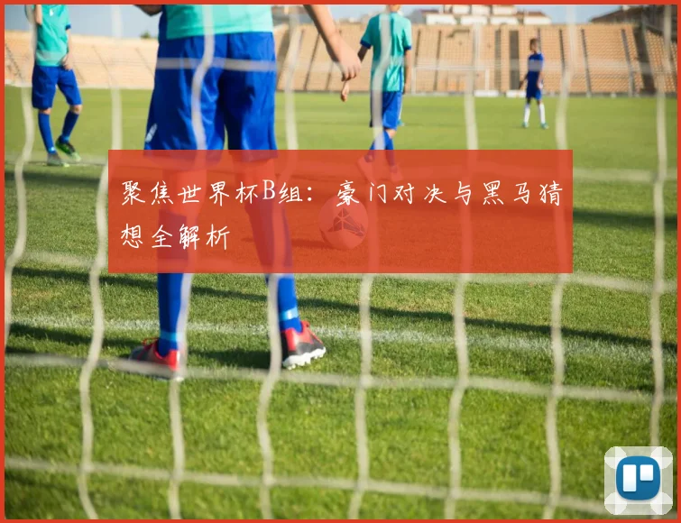 聚焦世界杯B组:豪门对决与黑马猜想全解析