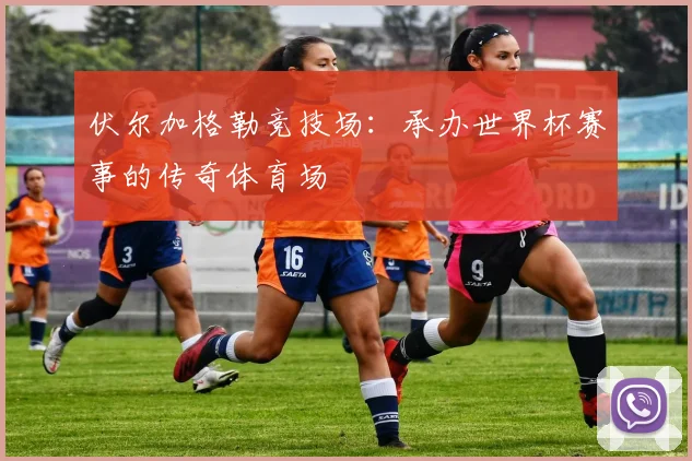 伏尔加格勒竞技场：承办世界杯赛事的传奇体育场