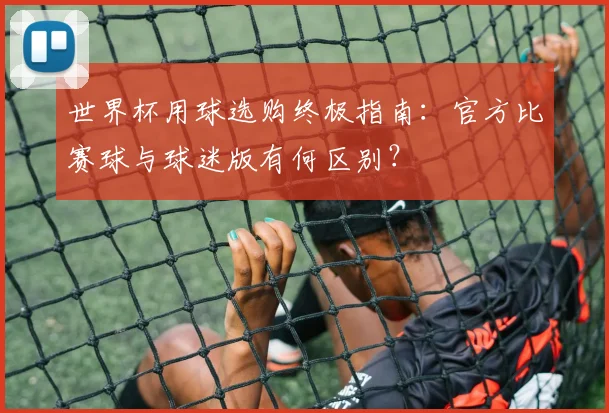 世界杯用球选购终极指南：官方比赛球与球迷版有何区别？