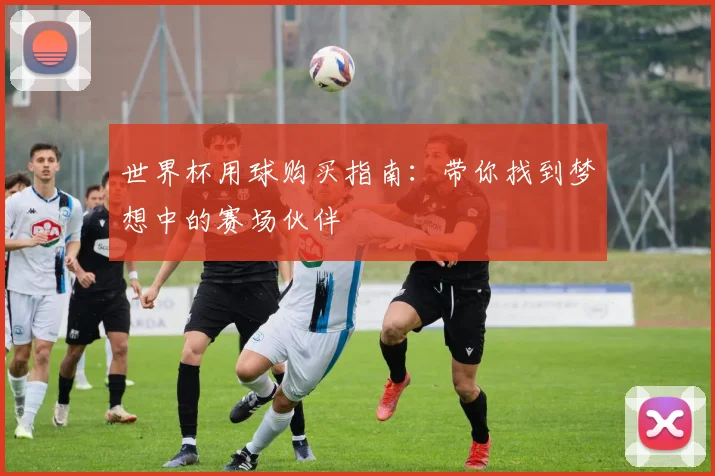 世界杯用球购买指南：带你找到梦想中的赛场伙伴