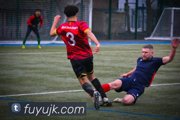 云开体育app官网入口app平台生态图